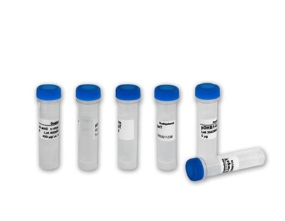 龍旸生物科技 專業(yè)生物技術(shù)開發(fā)與服務(wù)的行業(yè)先鋒