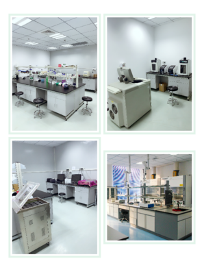 Abbkine偶聯標記技術服務正式上線，引領生物技術開發新篇章