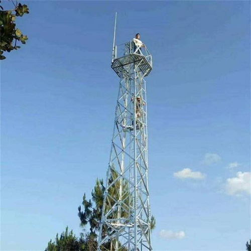 涉縣森林避雷塔廠家睿昌通信工程 登高眺望，鑄就網絡工程新高度